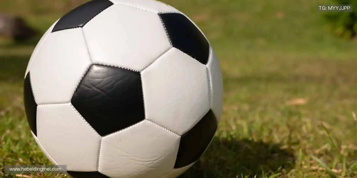 🎨定制你的专属运动装备，独一无二！👕